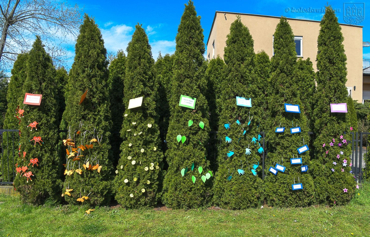 Tydzień Optymisty w MPP nr 3