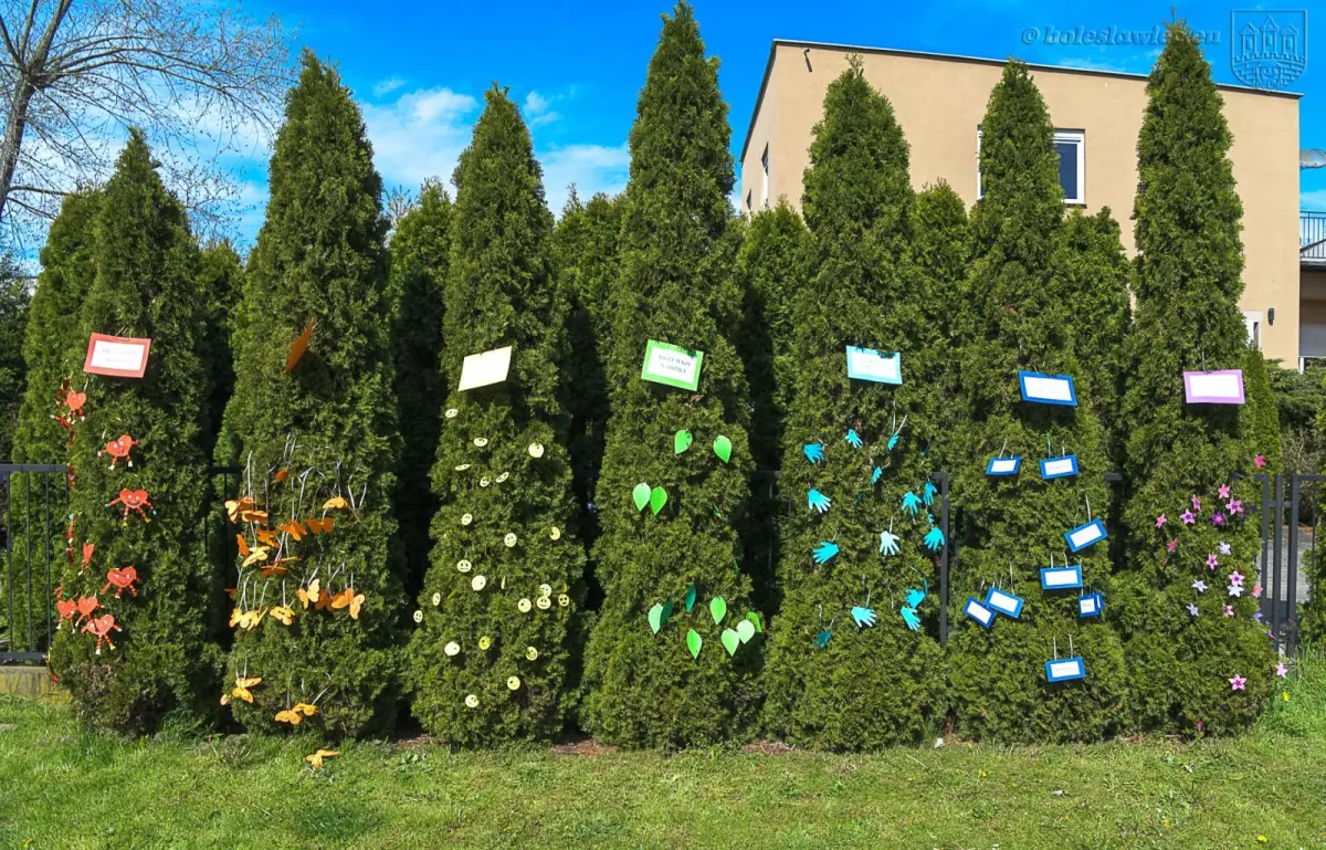 Tydzień Optymisty w MPP nr 3