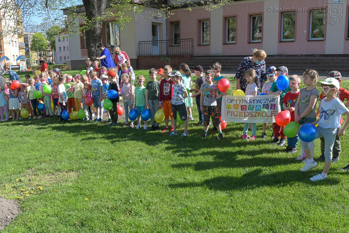 Optymizm GO w MPP nr 6