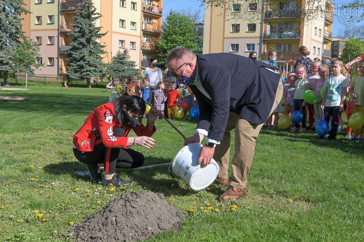 Optymizm GO w MPP nr 6