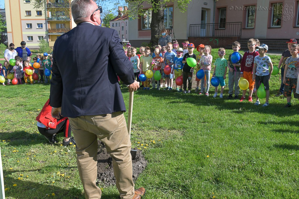 Optymizm GO w MPP nr 6