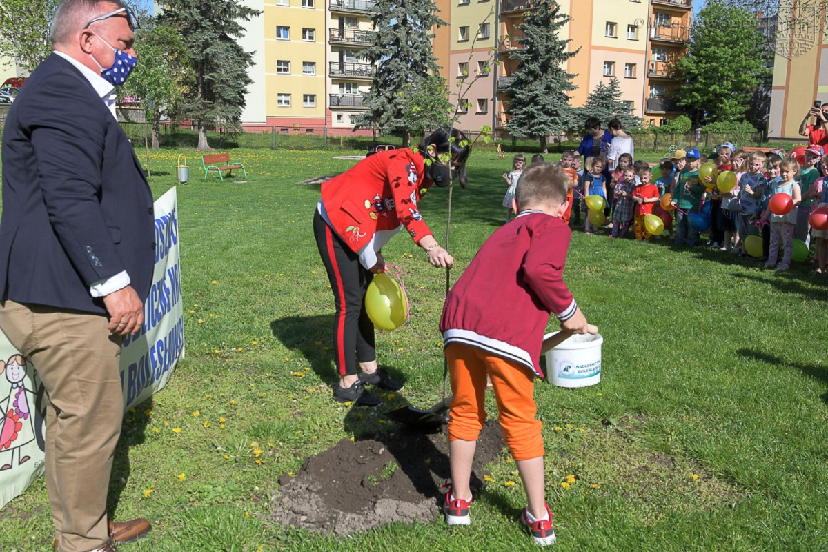 Optymizm GO w MPP nr 6