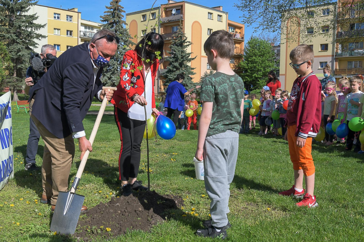 Optymizm GO w MPP nr 6