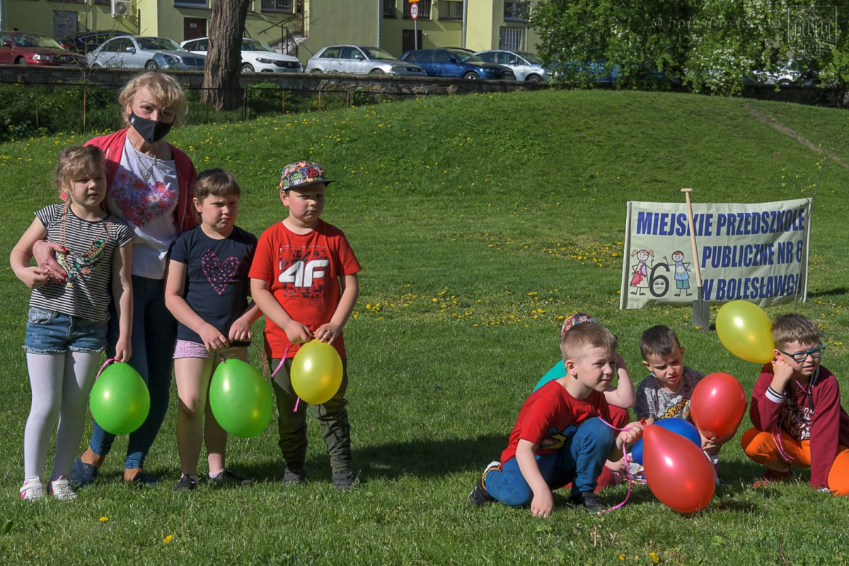 Optymizm GO w MPP nr 6