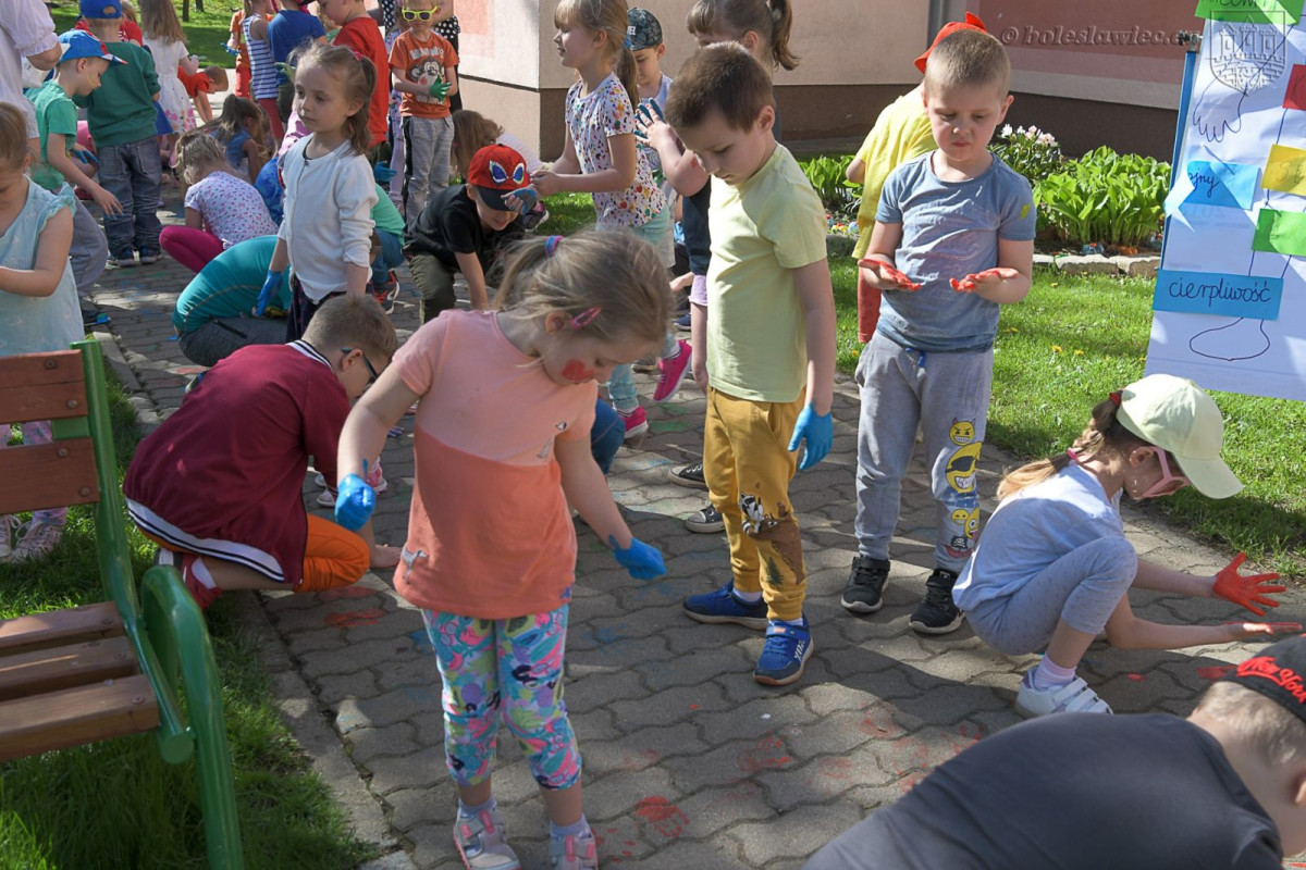 Optymizm GO w MPP nr 6