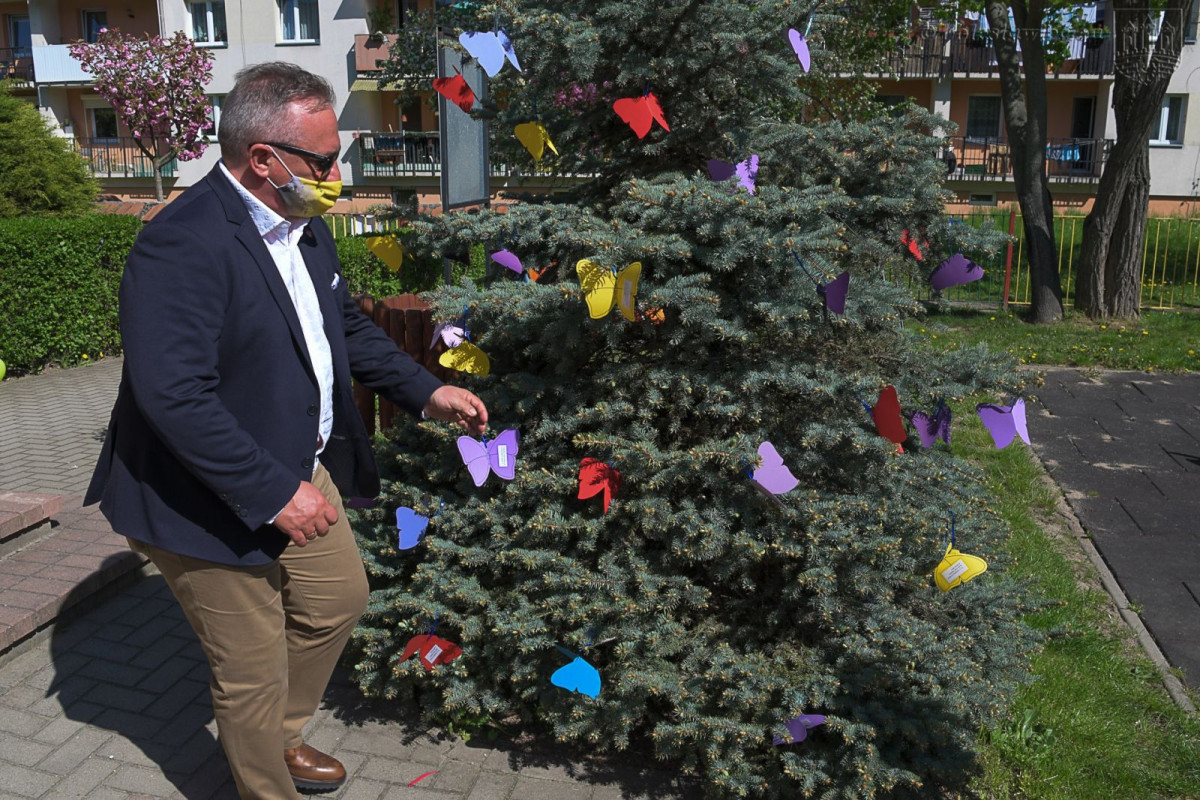 Kraina Optymizmu w MPP nr 1