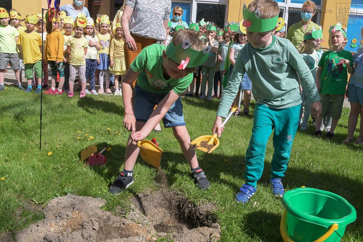 Kraina Optymizmu w MPP nr 1