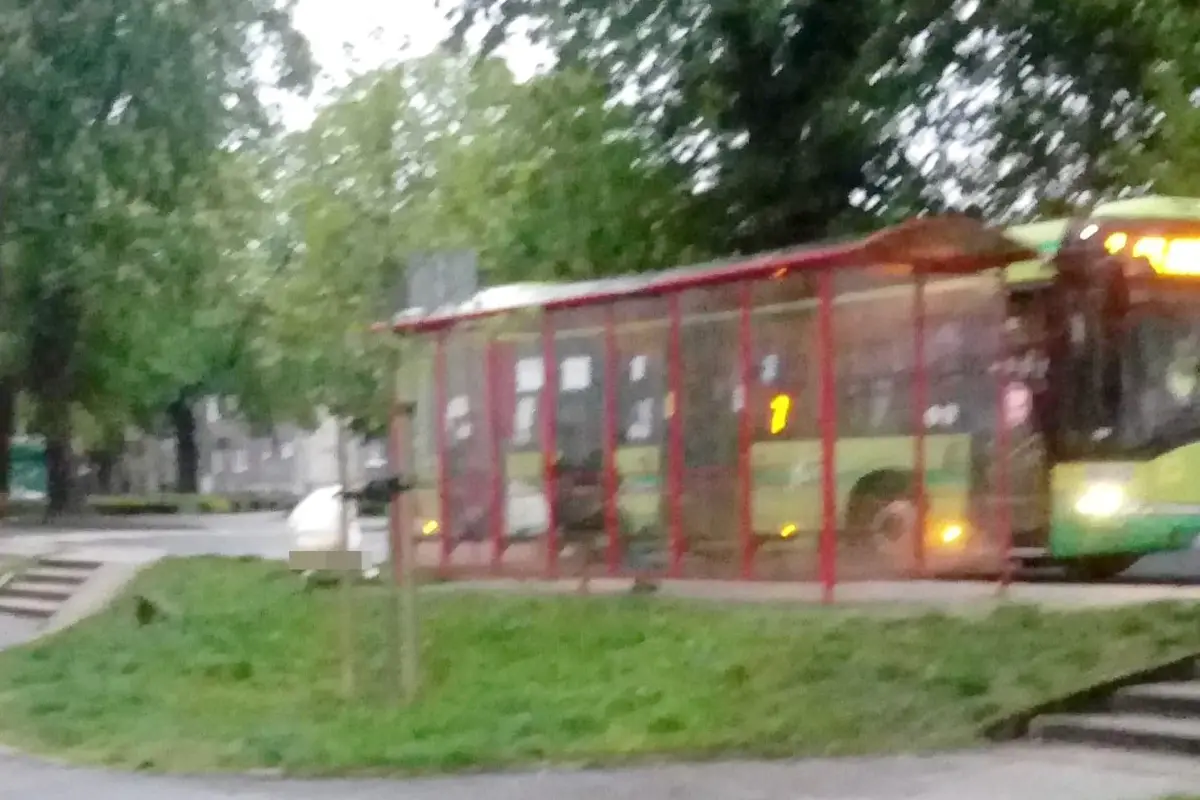 Kobieta wypróżniająca się przy przystanku przy ulicy Sądowej