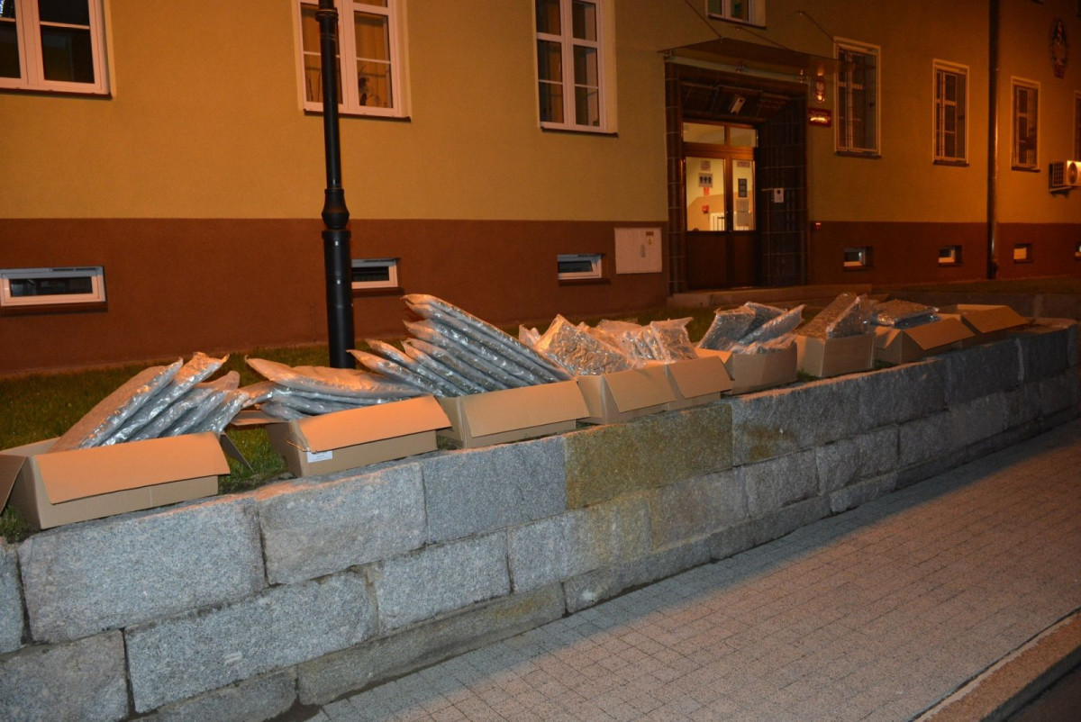 Działania Straży Granicznej