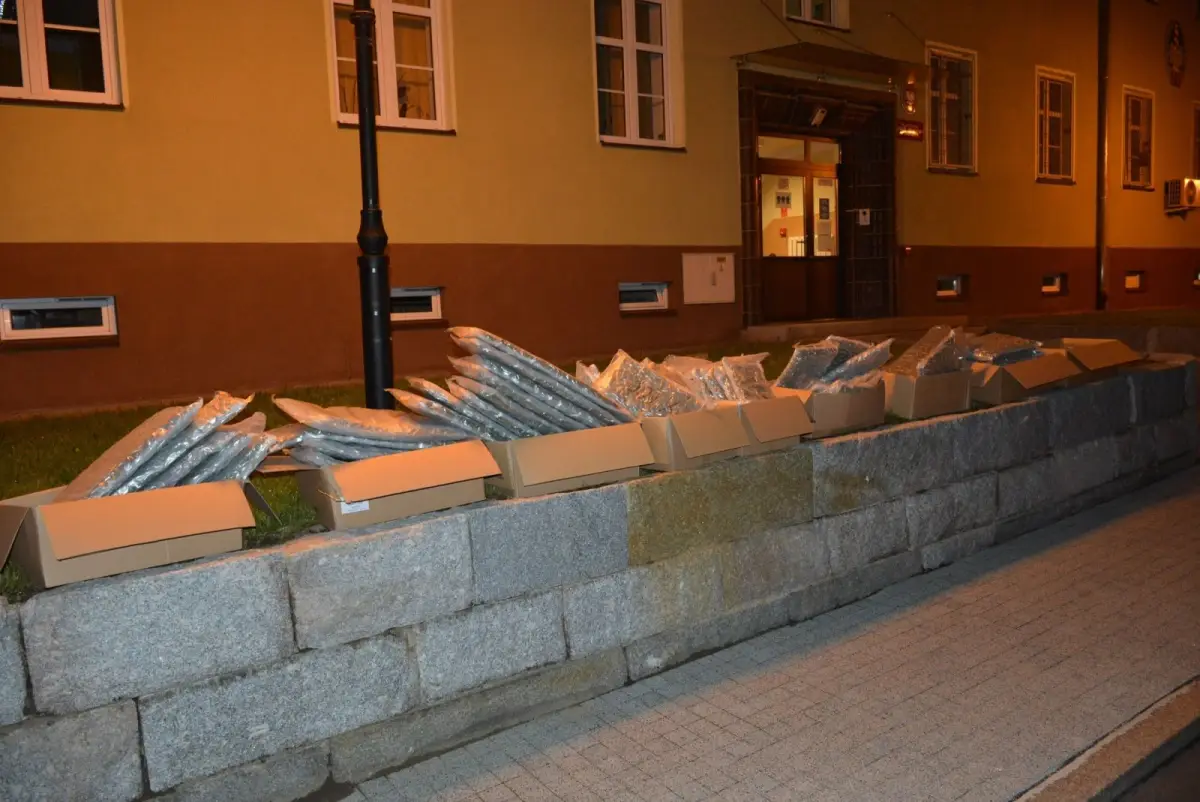 Działania Straży Granicznej