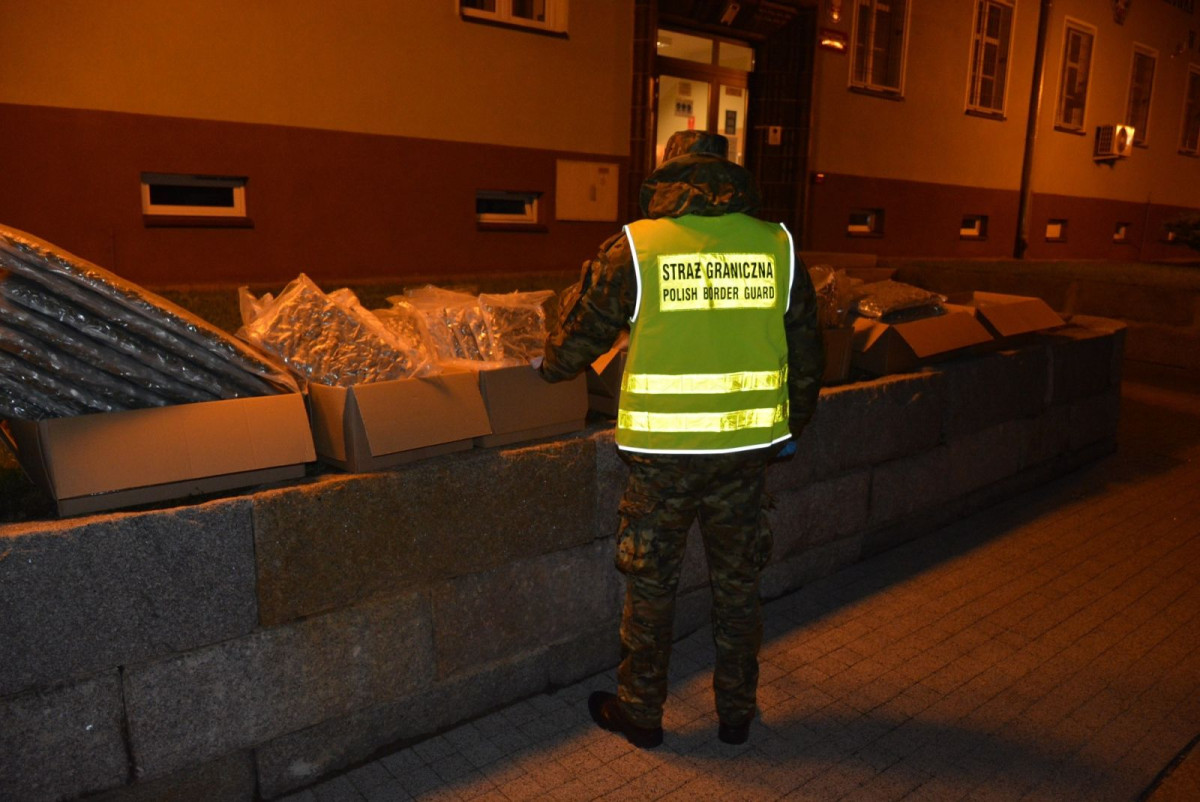 Działania Straży Granicznej
