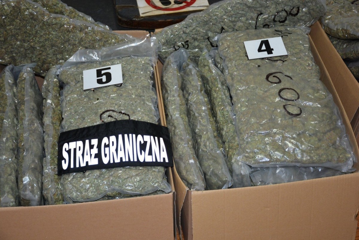 Działania Straży Granicznej