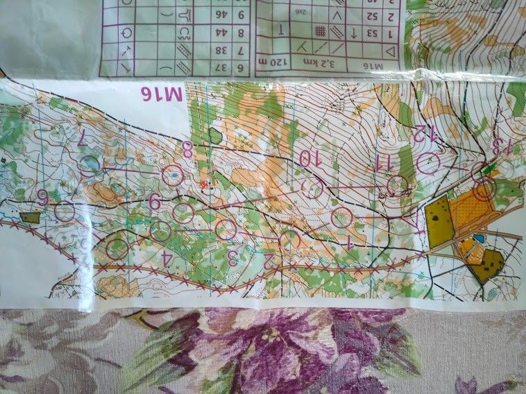 Zawodnicy Orientpark.pl Iwiny