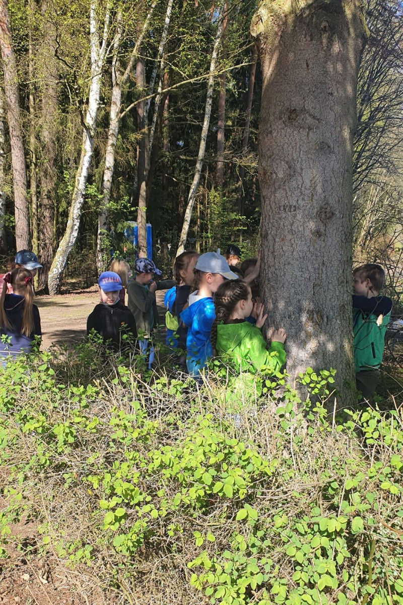 Warsztaty „Las bliżej nas”