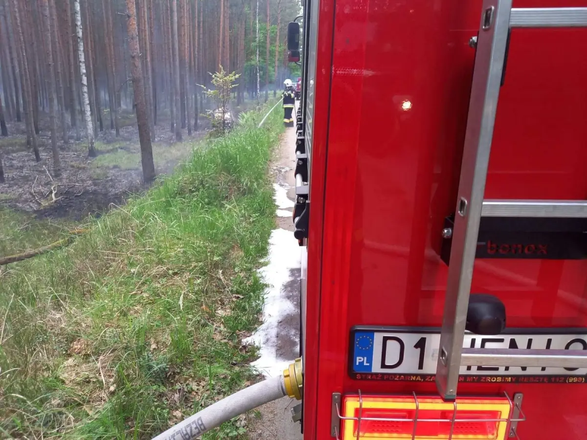 Działania strażaków z OSP Stary Węgliniec