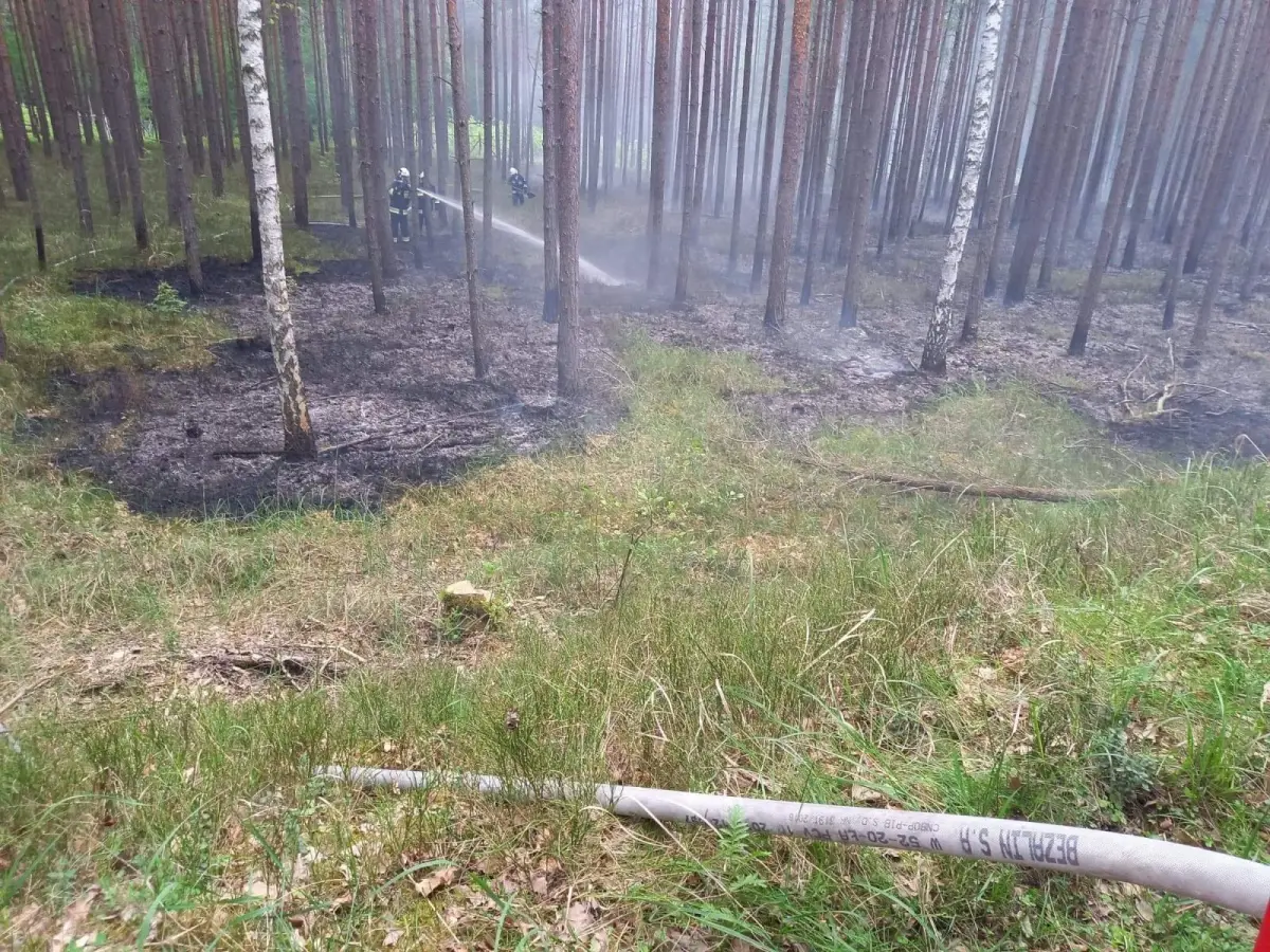 Działania strażaków z OSP Stary Węgliniec