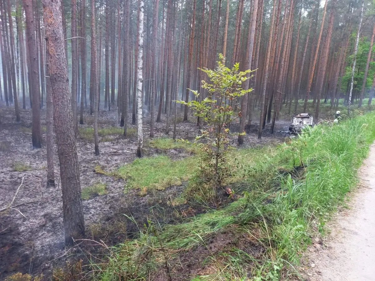 Działania strażaków z OSP Stary Węgliniec