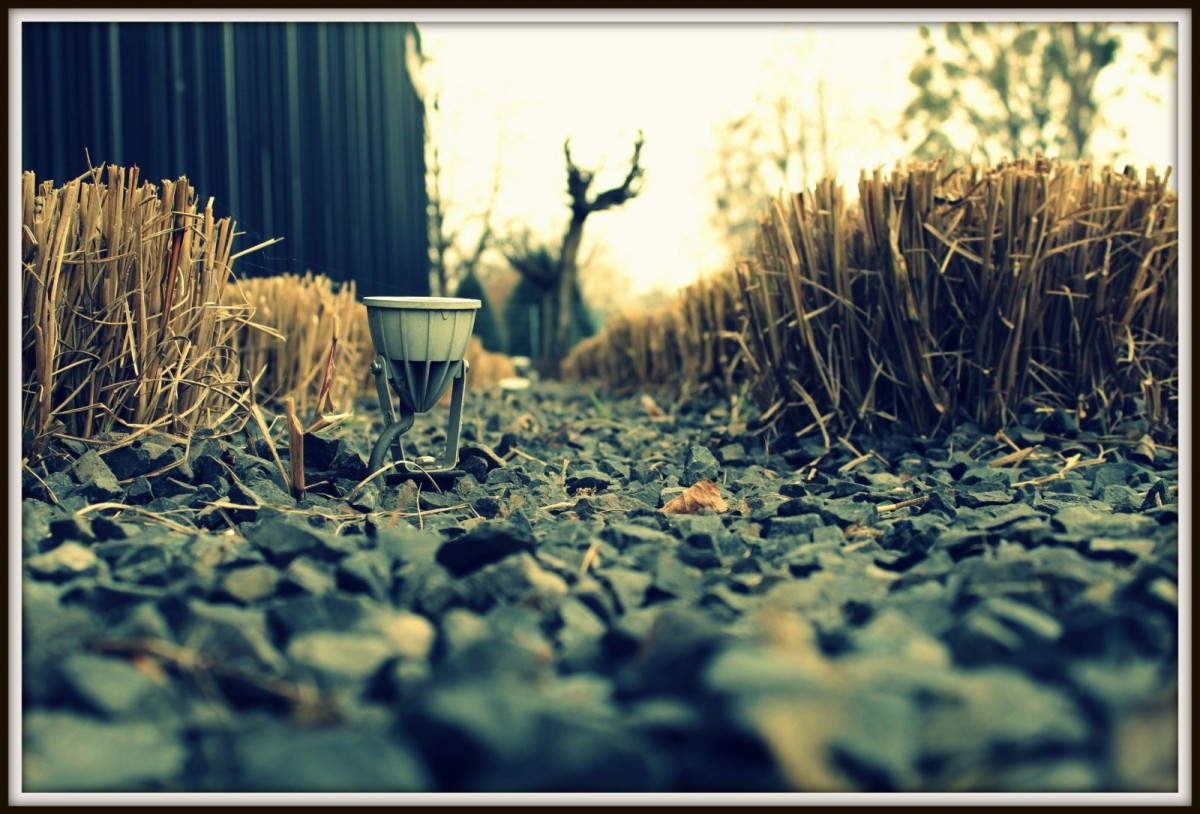 Zdjęcie 1 „Obiekt”