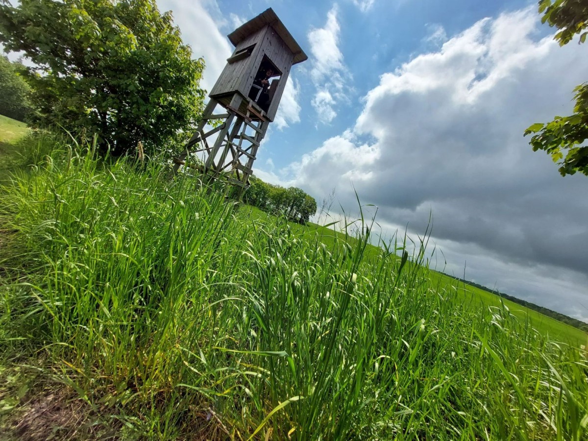 Zdjęcie 6 „Obserwatorium”