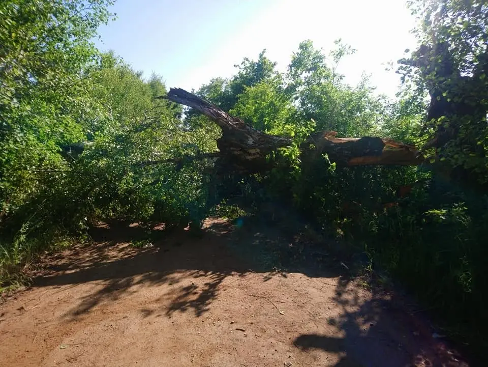 Akcja straży pożarnej w gminie Gromadka