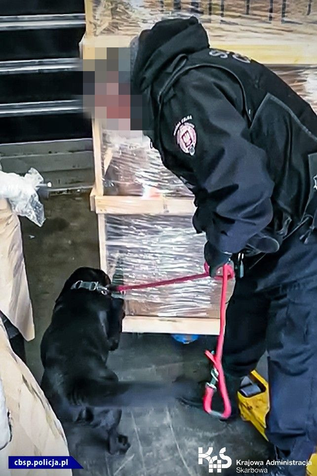 Marihuana przechwycona przez służby