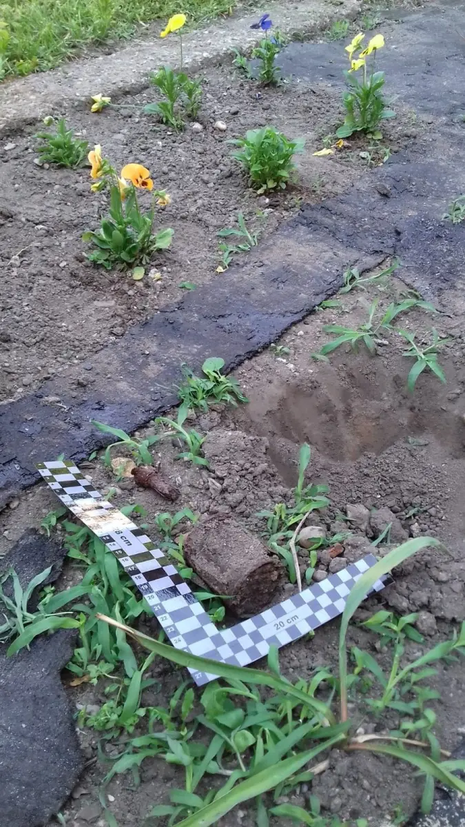 Działania Patrolu Saperskiego Bolesławiec