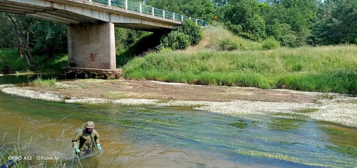 Akcja służb koło Świętoszowa