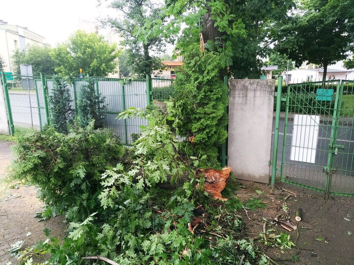 Duży konar spadł na ogrodzenie stadionu