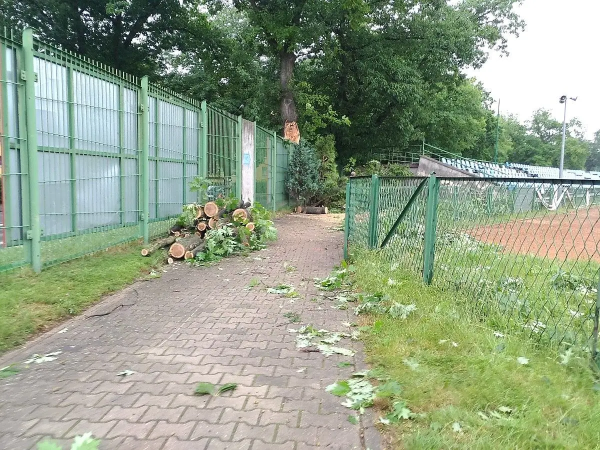 Duży konar spadł na ogrodzenie stadionu