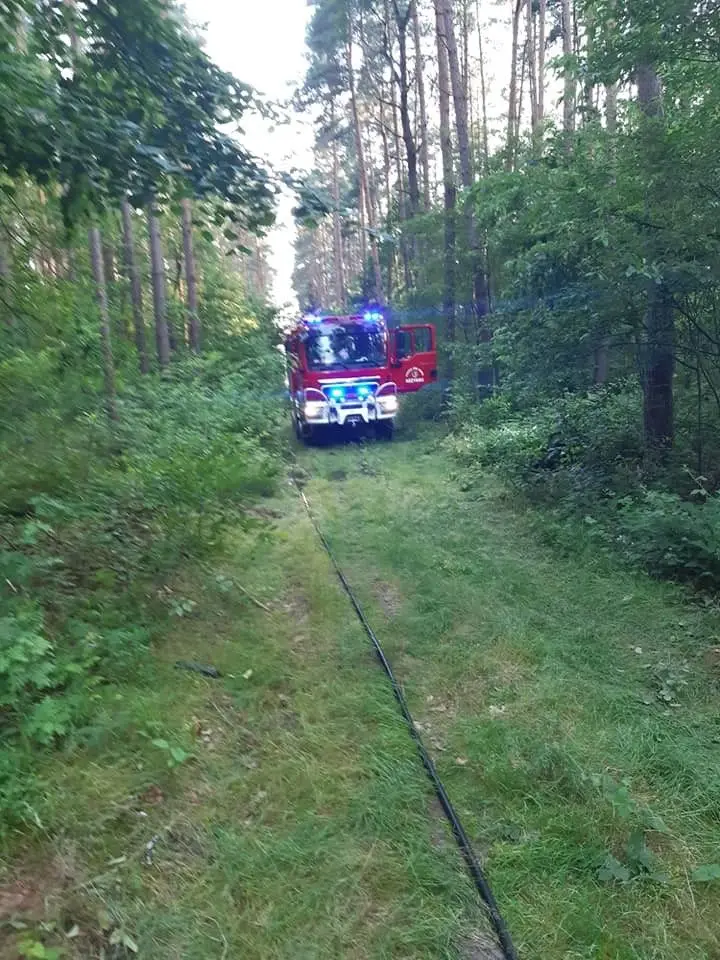 Akcja straży pożarnej w lesie