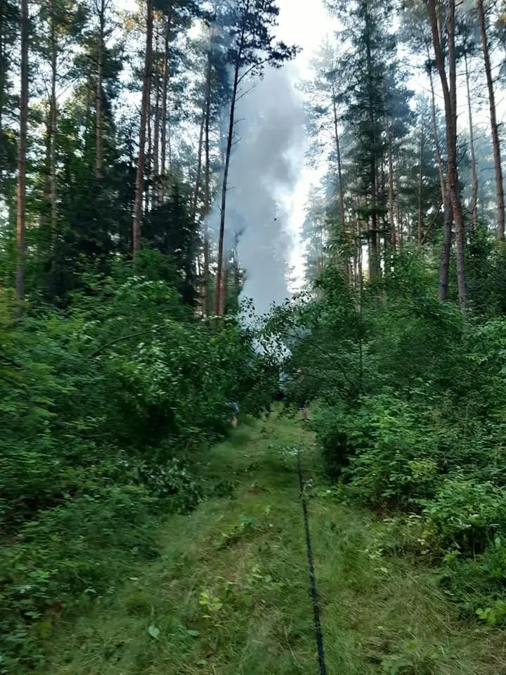 Akcja straży pożarnej w lesie