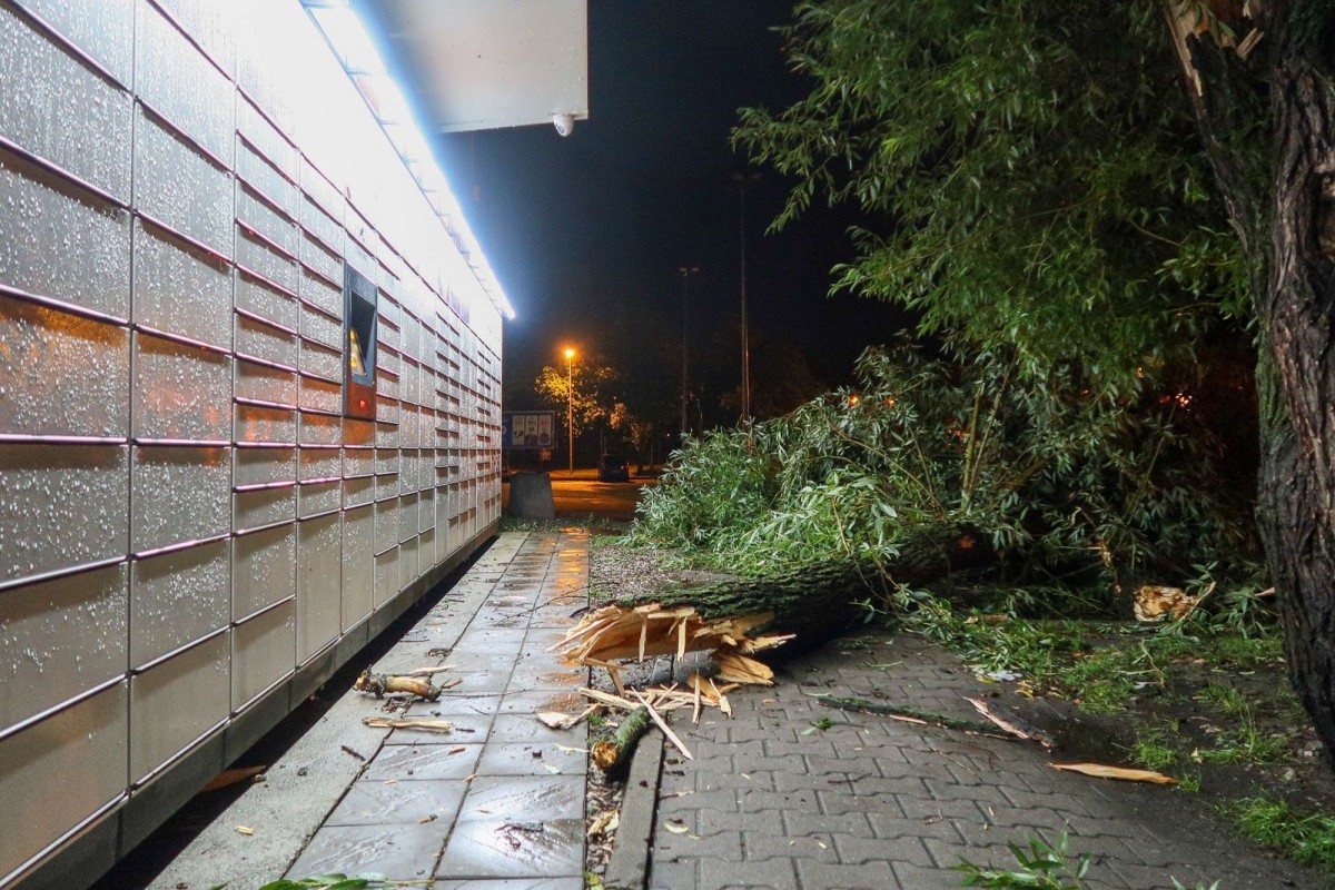 Efekty nawałnicy w powiecie bolesławieckim