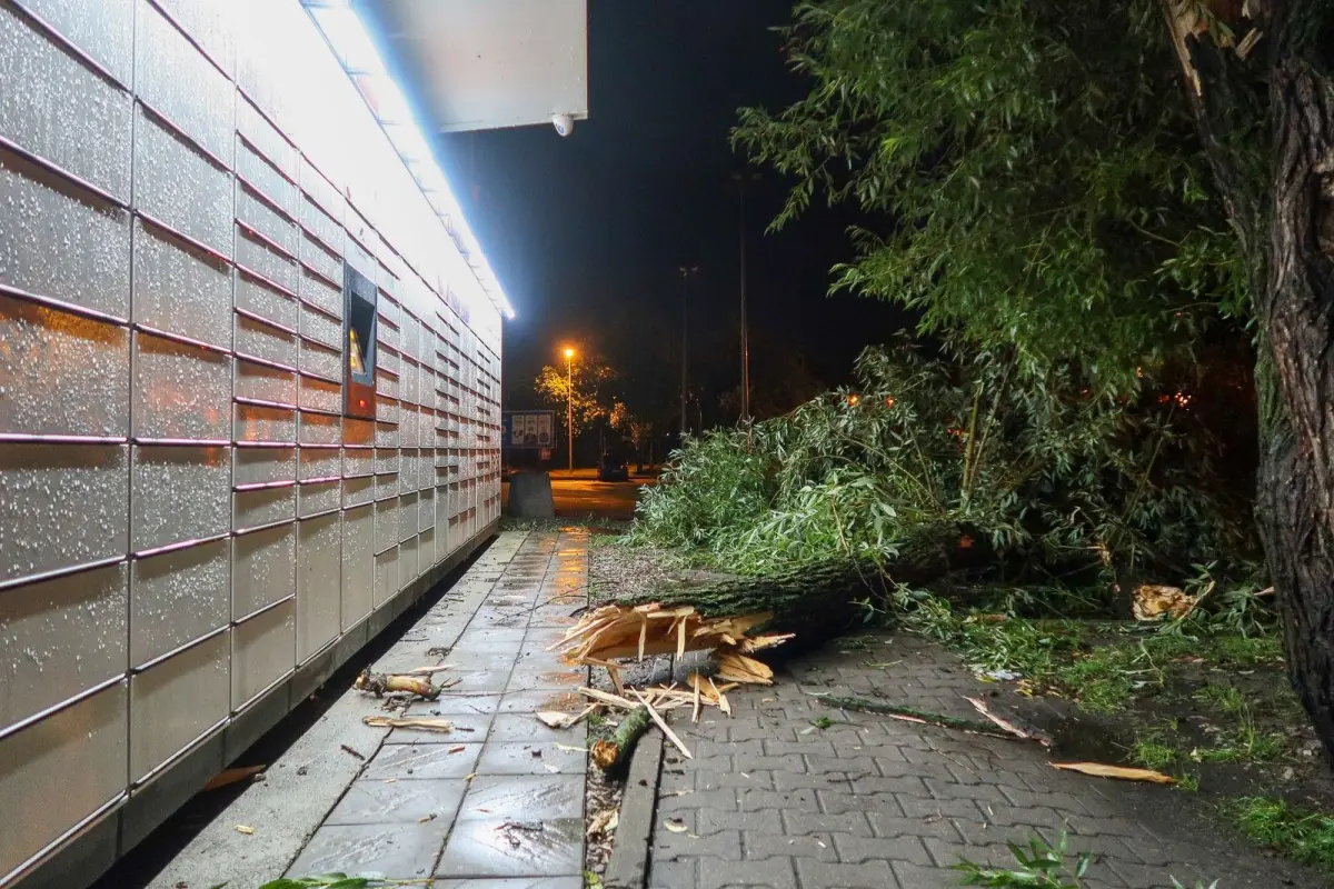 Efekty nawałnicy w powiecie bolesławieckim