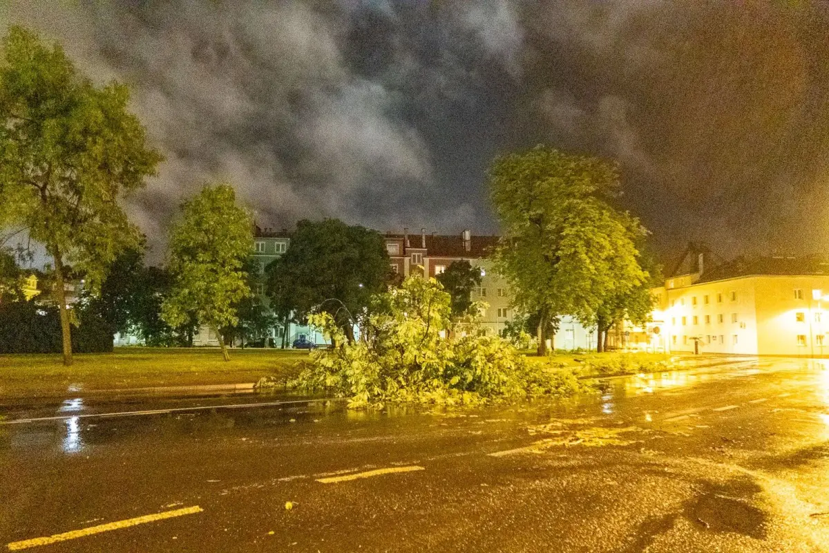 Efekty nawałnicy w powiecie bolesławieckim