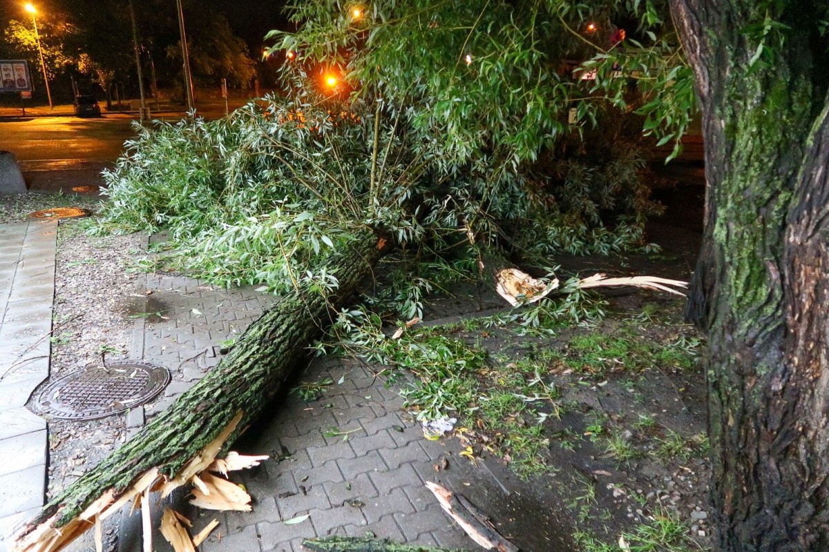Efekty nawałnicy w powiecie bolesławieckim