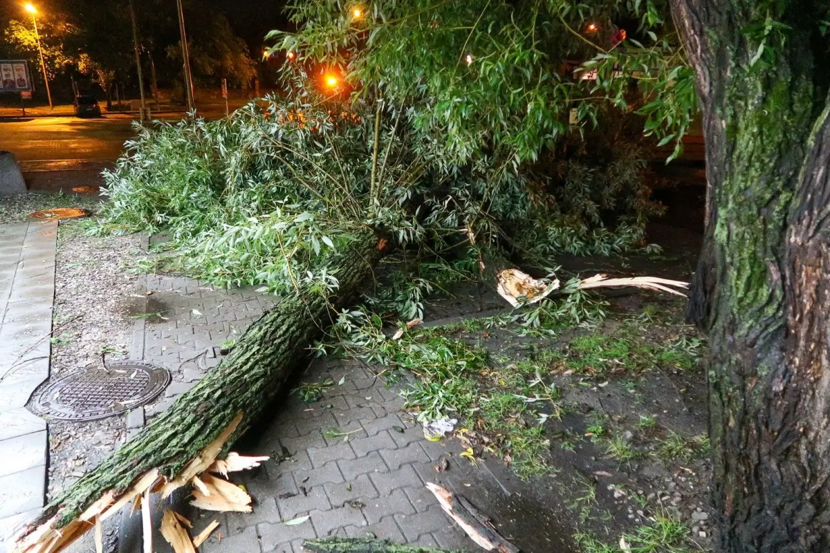 Efekty nawałnicy w powiecie bolesławieckim