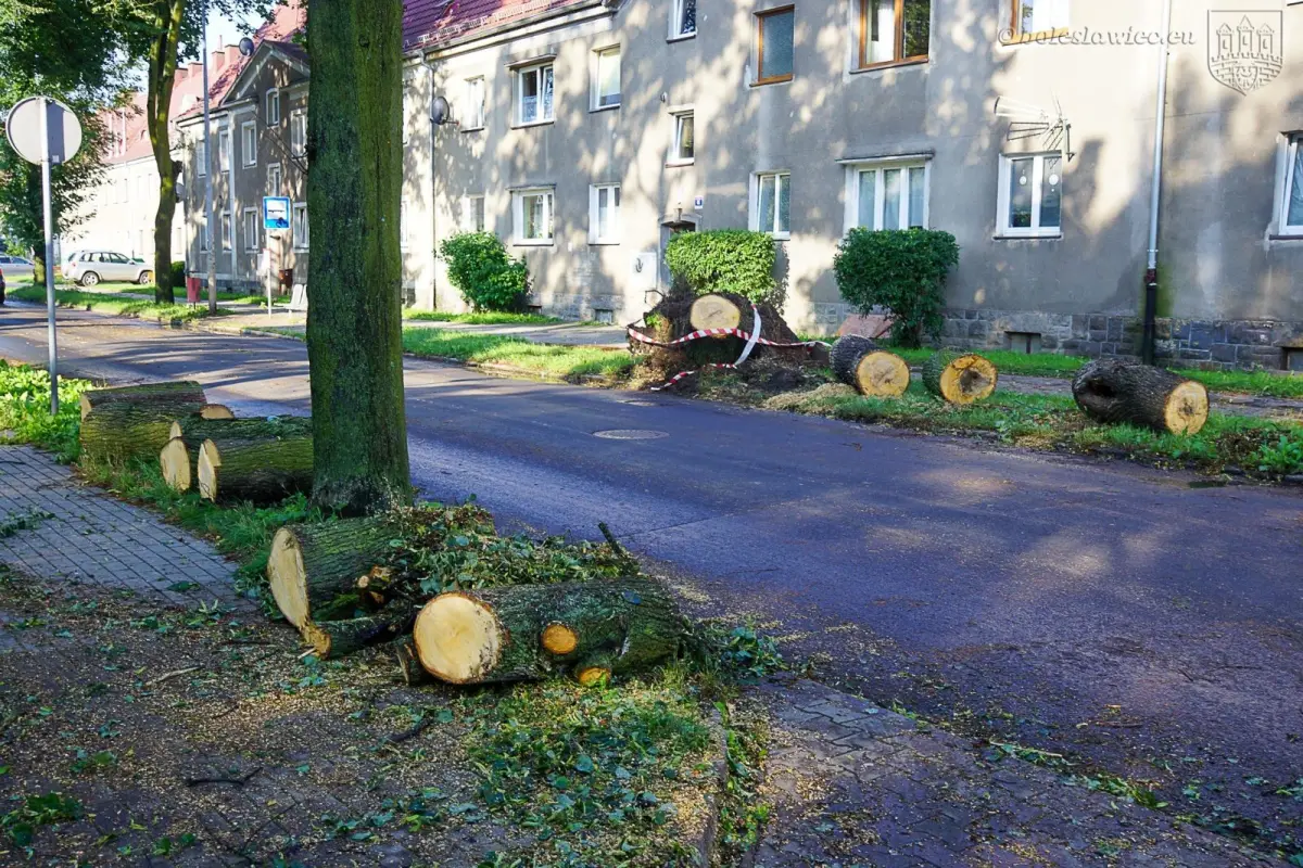 Usuwanie skutków nawałnicy w Bolesławcu