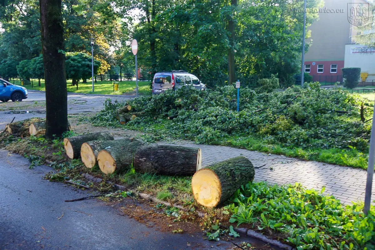 Usuwanie skutków nawałnicy w Bolesławcu