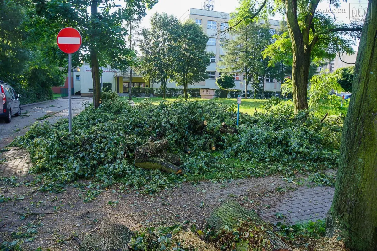 Usuwanie skutków nawałnicy w Bolesławcu