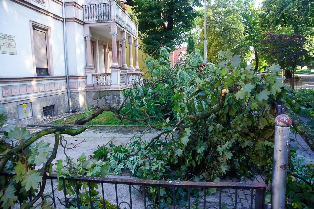 Usuwanie skutków nawałnicy w Bolesławcu