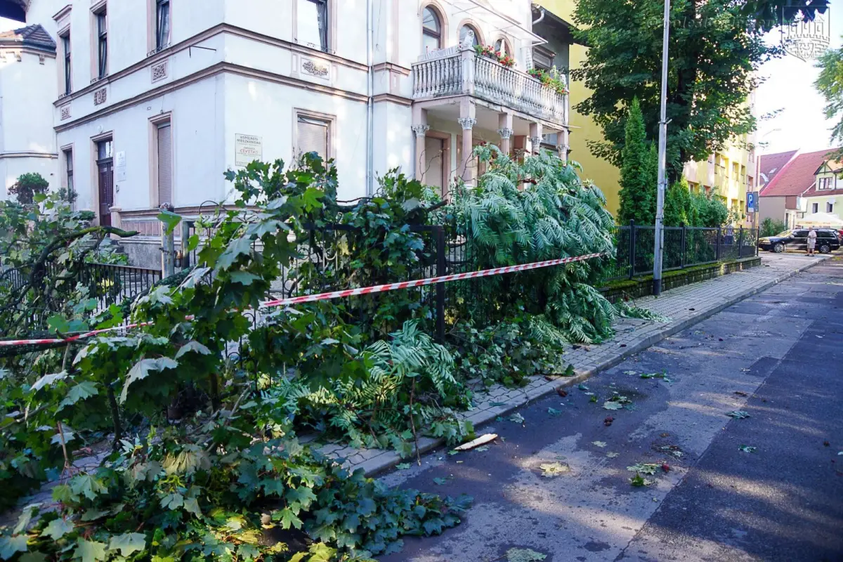 Usuwanie skutków nawałnicy w Bolesławcu