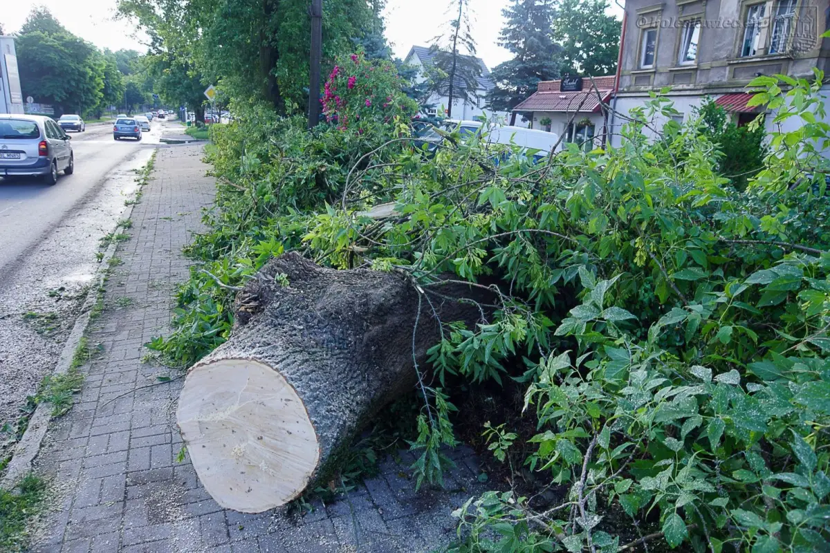 Usuwanie skutków nawałnicy w Bolesławcu