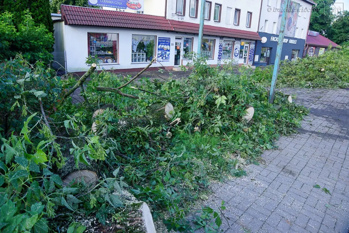 Usuwanie skutków nawałnicy w Bolesławcu