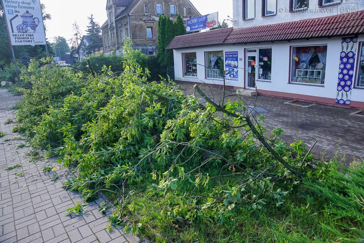 Usuwanie skutków nawałnicy w Bolesławcu