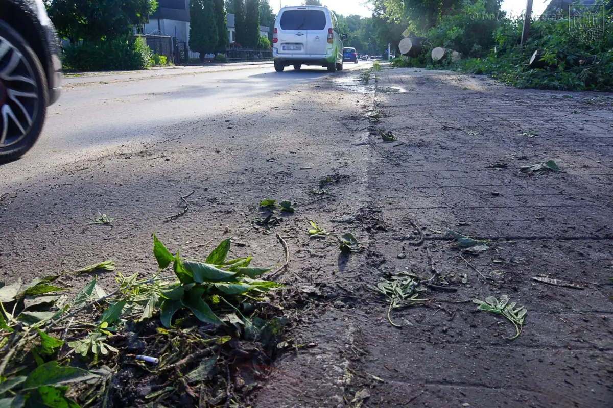 Usuwanie skutków nawałnicy w Bolesławcu