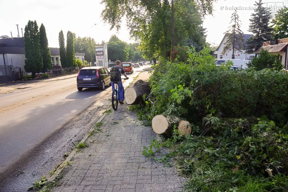 Usuwanie skutków nawałnicy w Bolesławcu
