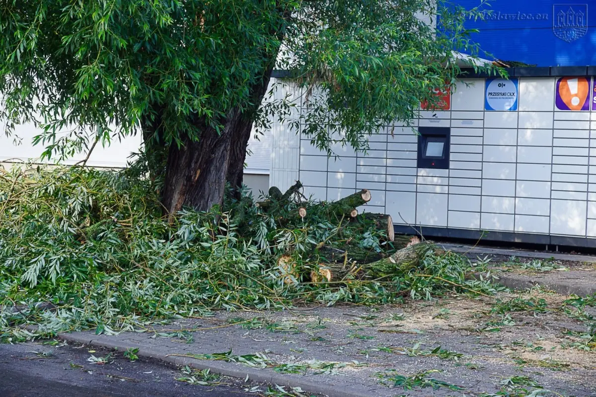 Usuwanie skutków nawałnicy w Bolesławcu