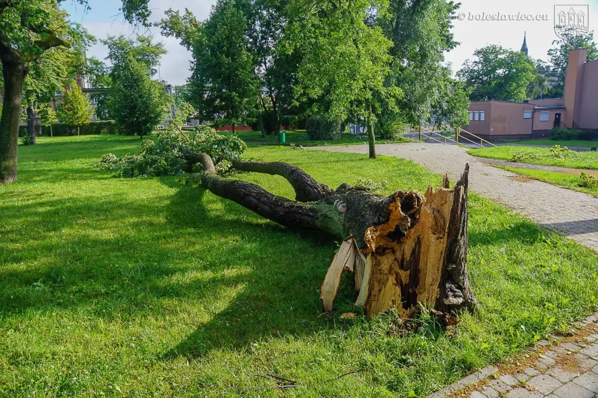 Usuwanie skutków nawałnicy w Bolesławcu