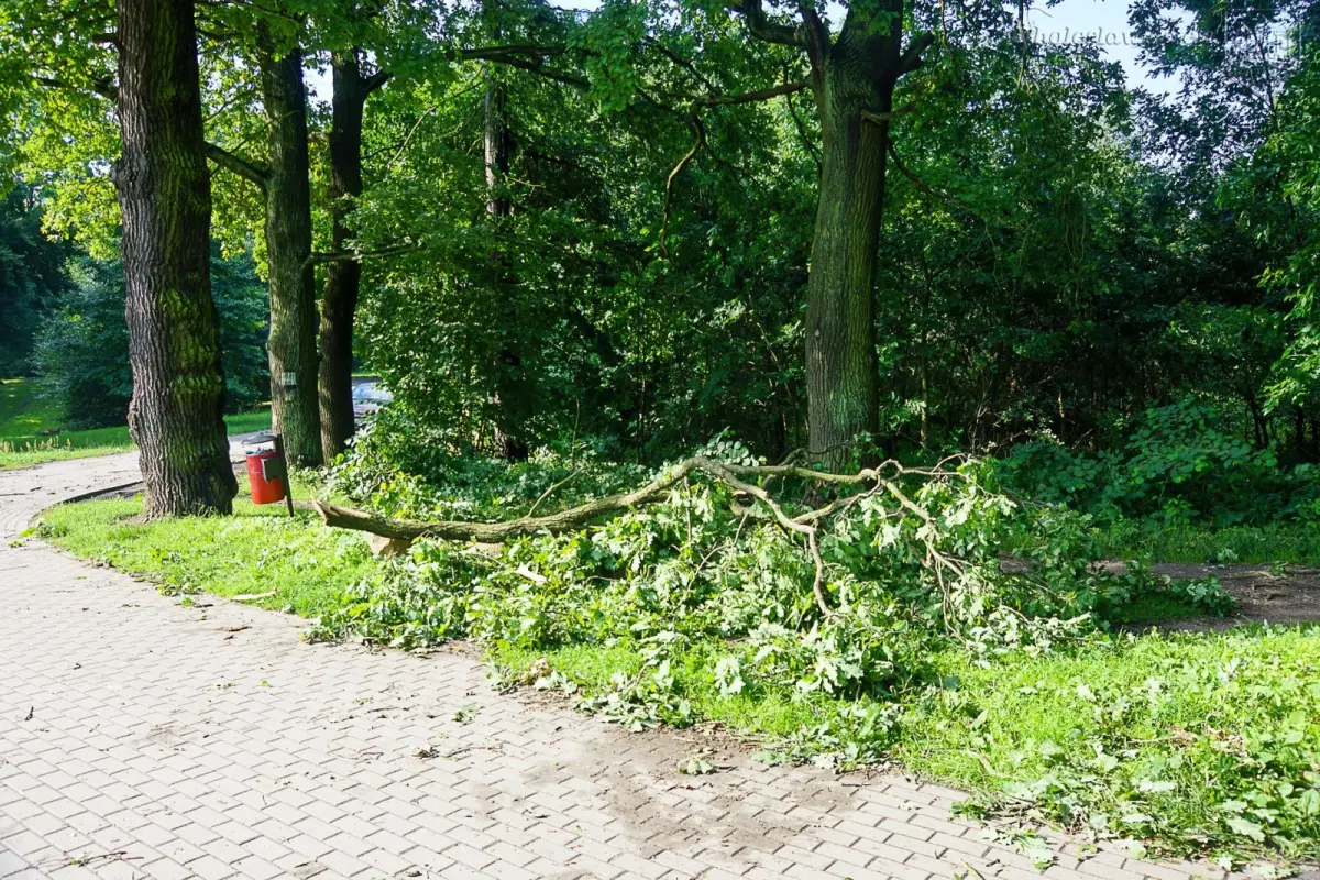 Usuwanie skutków nawałnicy w Bolesławcu