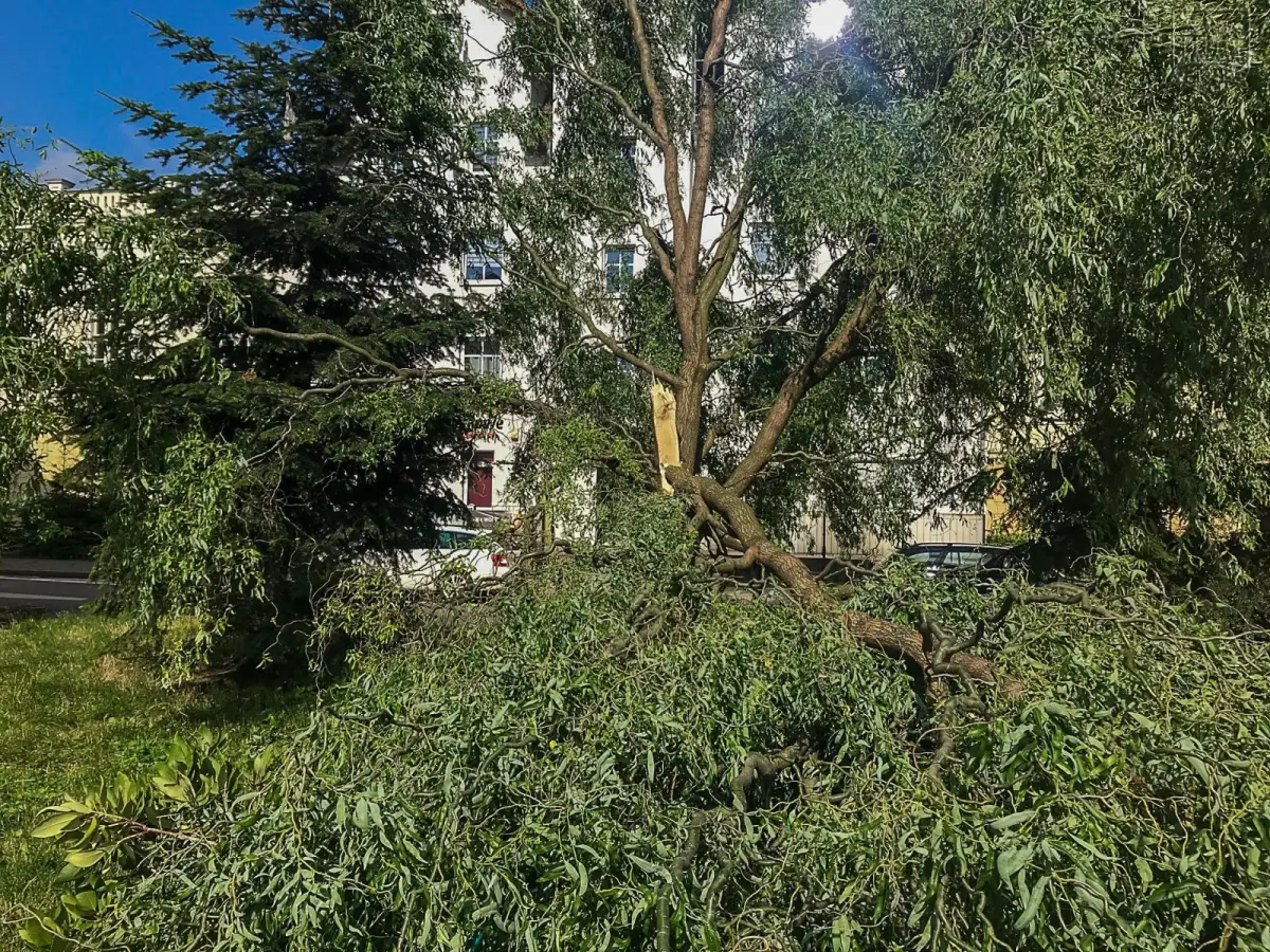 Usuwanie skutków nawałnicy w Bolesławcu